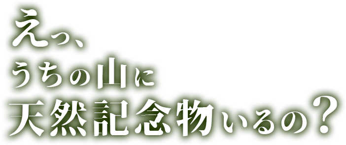 えっ、うちの山に天然記念物いるの？