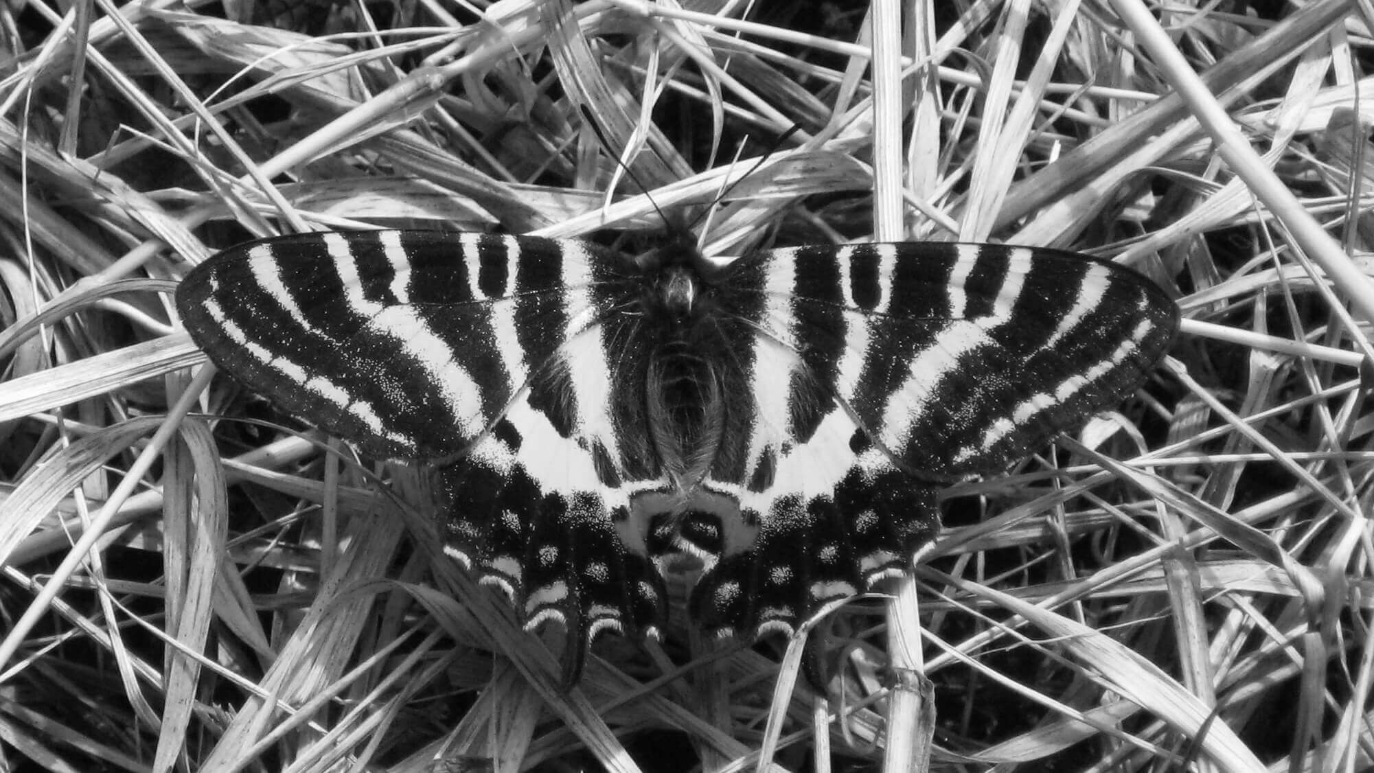 NPO法人FULL里POWER イメージ画像