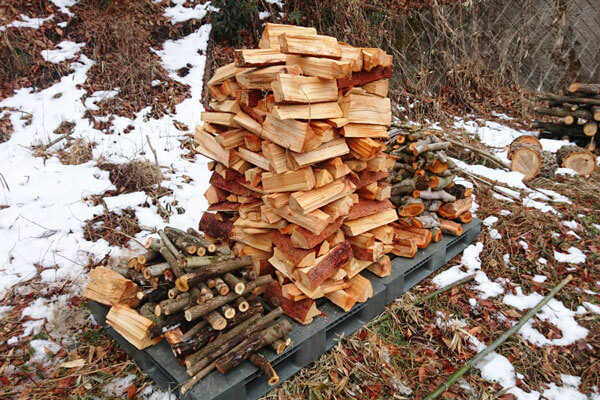 地域活性化活動の様子